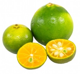 Calamansi