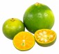 Calamansi