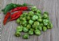 Wasabi Nüsse