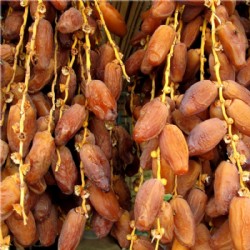 Dattel Balsam 3% Säure