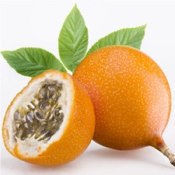 Sanddorn Aperitif-Essig 5%
