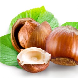 Haselnussöl