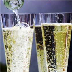Prosecco Frizzante Treviso DOC