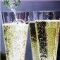 Prosecco Frizzante Treviso DOC