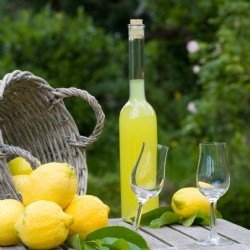 Zitrone Limoncello Likör naturtrüb 30%