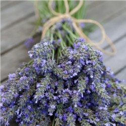 Zitrone-Orange mit Lavendel
