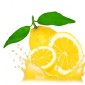 Crema al Limone 3%