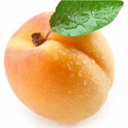 Crema di Frutta Marille 4%