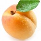 Crema di Frutta Marille 4%
