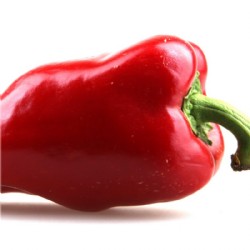 Crema di Frutta Paprika 4%