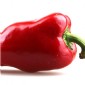 Crema di Frutta Paprika 4%