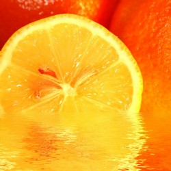 Orangen – Eierlikör 20%